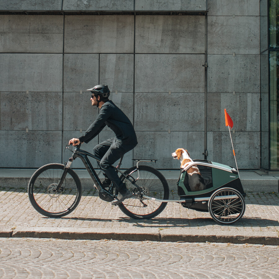 rimorchio per bici per cani thule bexey l hazy green