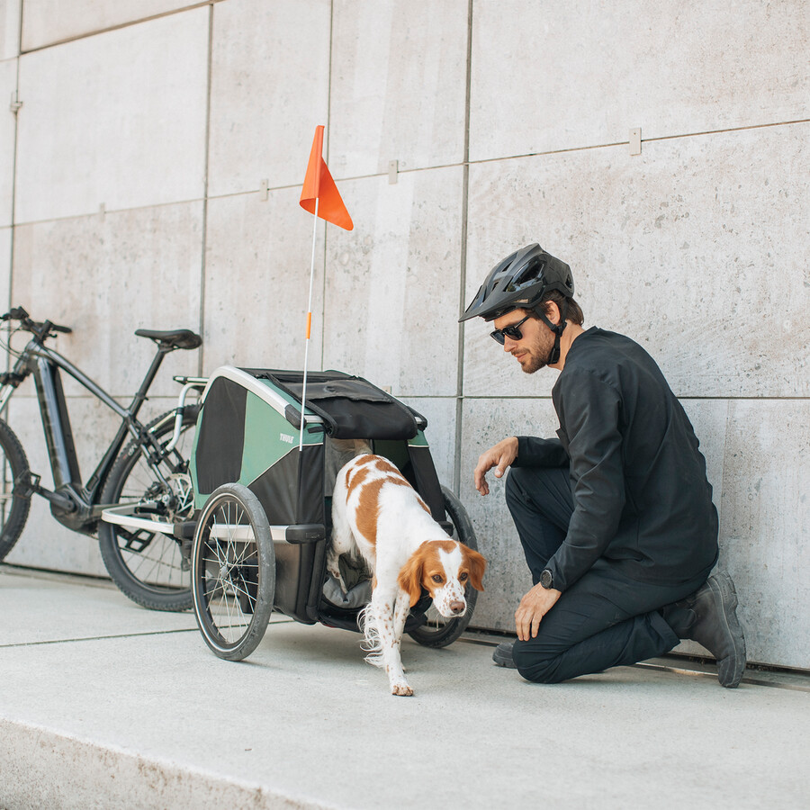 rimorchio per bici per cani thule bexey m hazy green