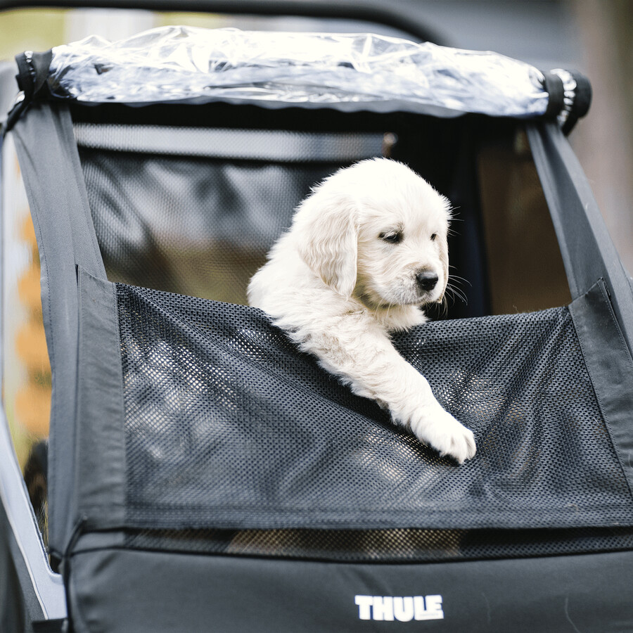 rimorchio per bici da carico per bambini cani