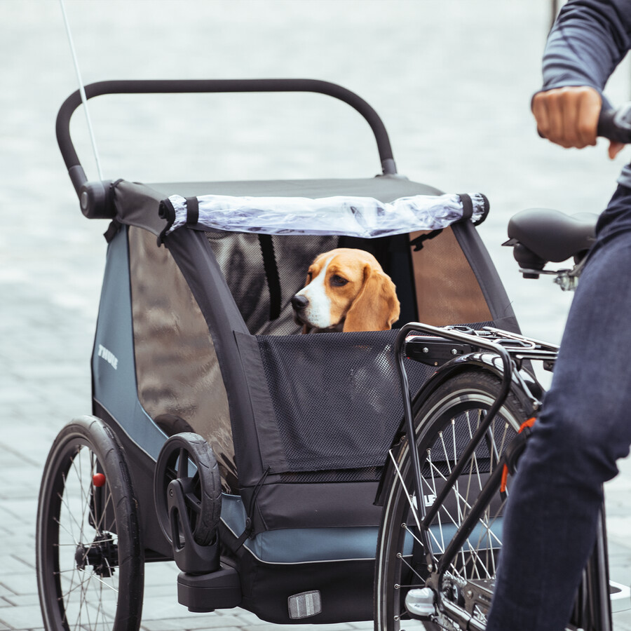 rimorchio per bici da carico per bambini cani
