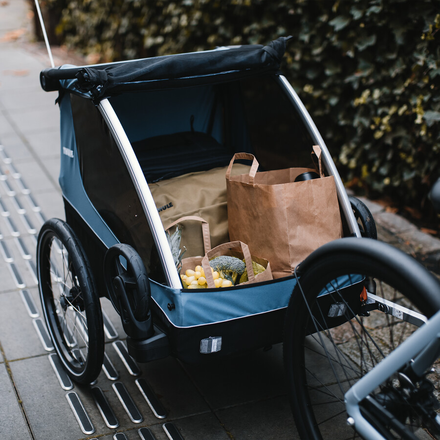 rimorchio per bici da carico per bambini cani