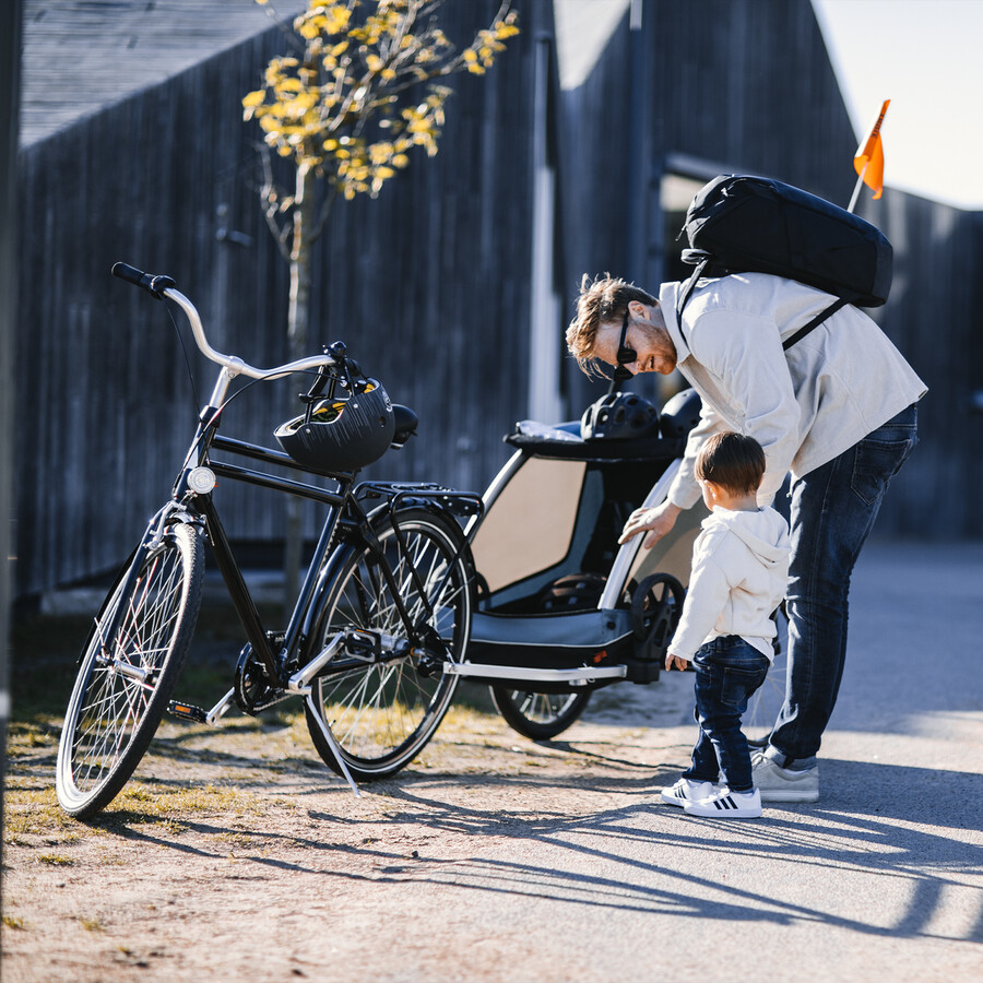 rimorchio per bici da carico per bambini cani