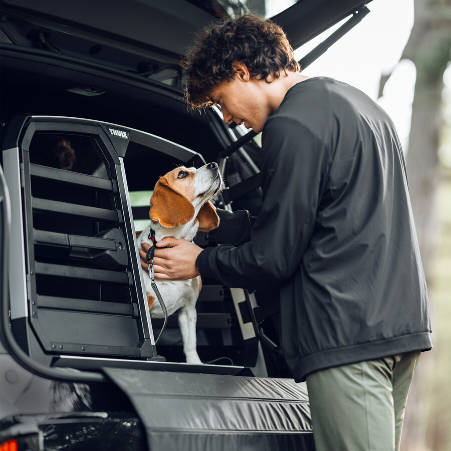thule allax double l trasportino doppio per auto per cani