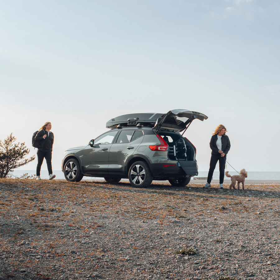 thule allax m trasportino per cani per auto