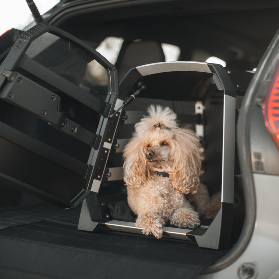 thule allax m trasportino per cani per auto