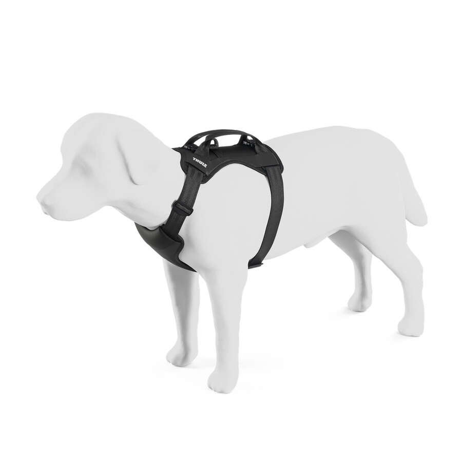 pettorina per auto per cani s