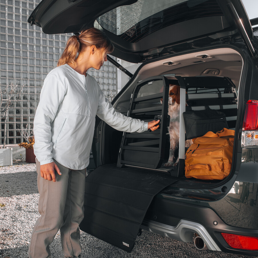 thule allax l trasportino per cani per auto