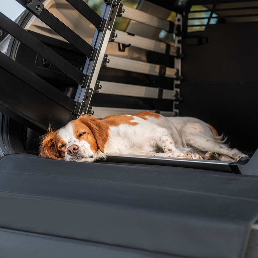 tappetino per cuccia per cani standard