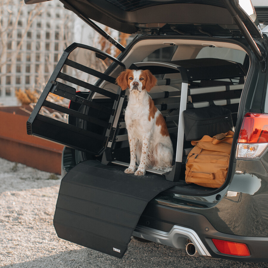 borsa portaoggetti per trasportino per cani